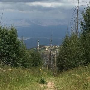 Meet your Posher, Patty